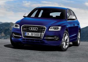 Audi SQ5 TDI 2013 года  (WW)